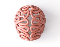 Stylised Abstract Human Brain Anatomy