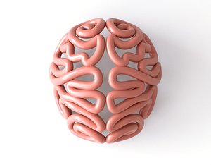 Stylised Abstract Human Brain Anatomy
