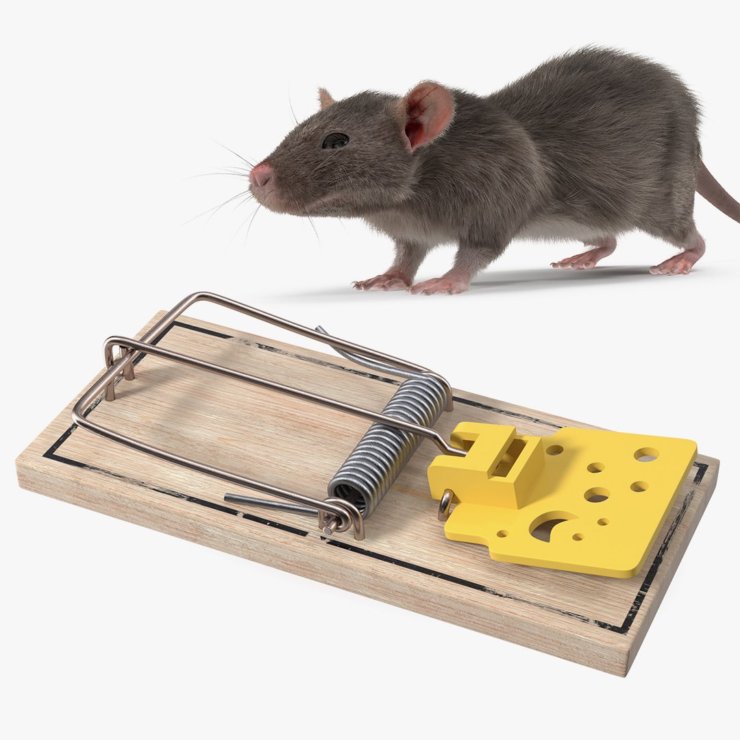 Rigged Rat with Trigger Trap Collection 3D model preview