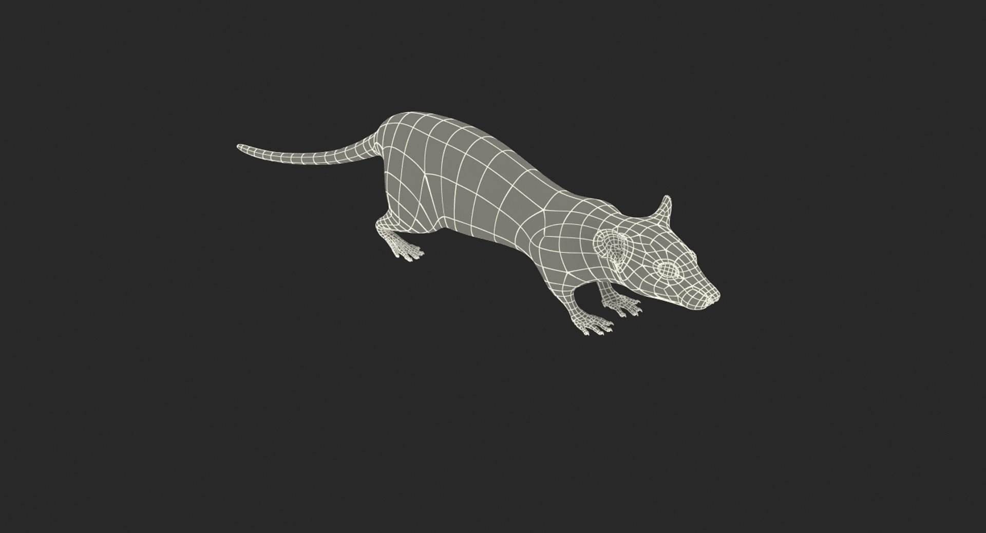 3D Rigged Rat With Trigger Trap Collection Model - TurboSquid 1784998