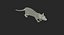 3D Rigged Rat with Trigger Trap Collection model