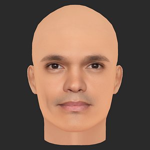 3D Low Poly Trevor Noah Head
