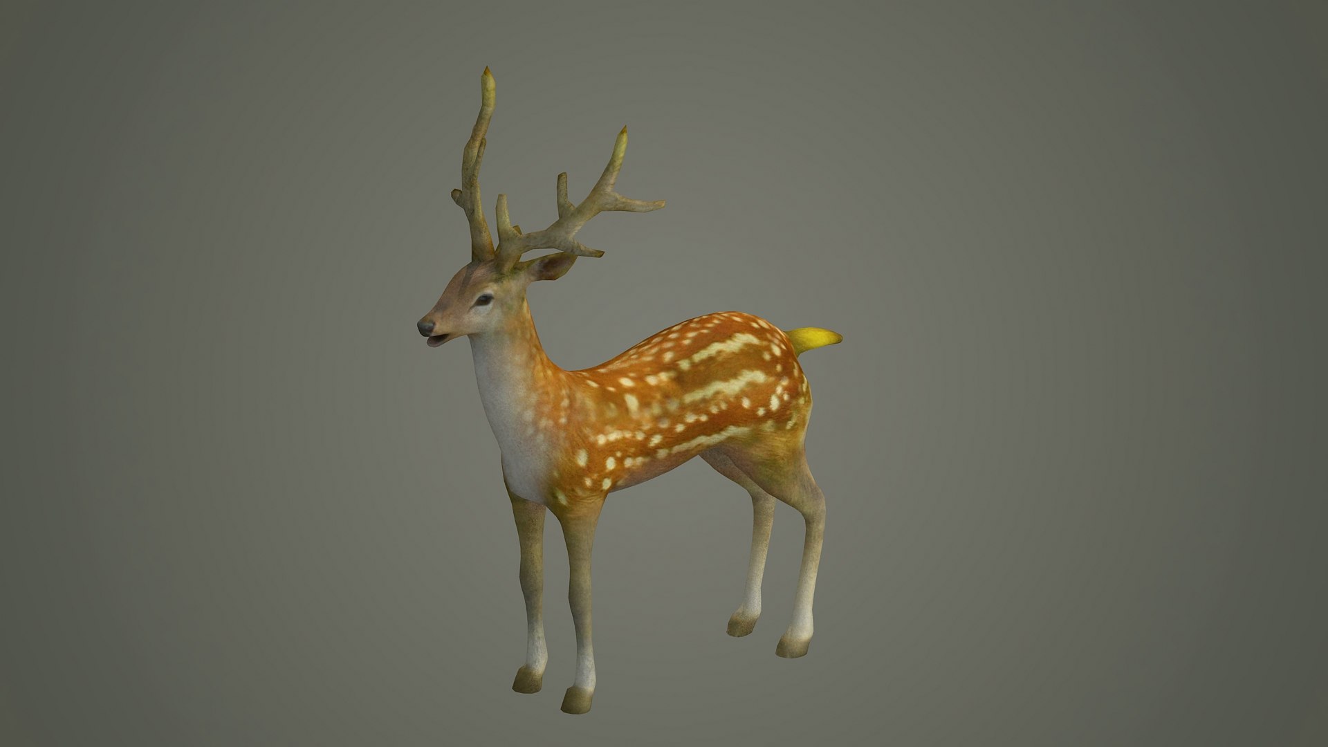 Deer Stag Animal Doe Game Lowpoly Forest Animation 3D Model ...