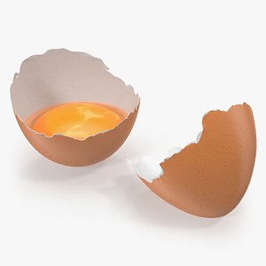 3D cracked egg shell