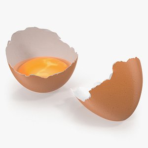 Cracked Egg Shell