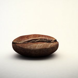 coffee bean