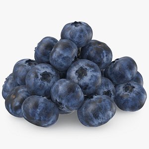 Blueberry Pile 3D model
