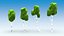Trees stones mushrooms flowers and grass Low-poly 3D model