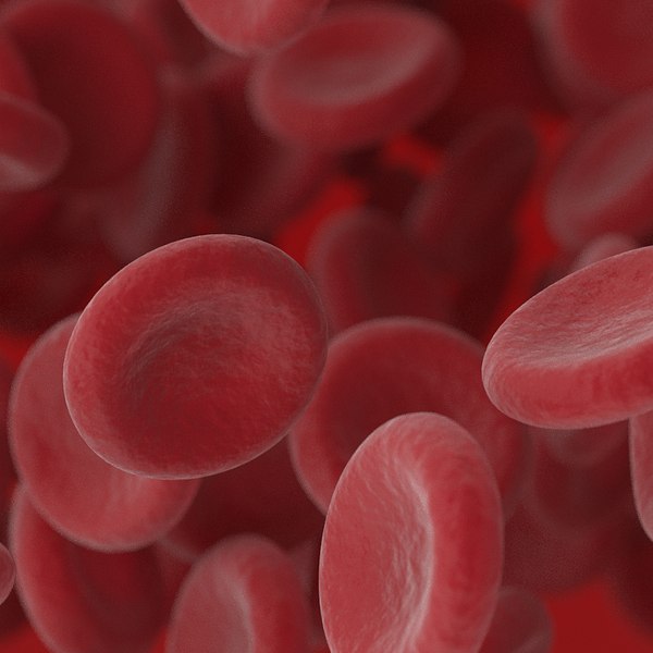 Группы клеток эритроцитов. Клетки крови. Эритроциты. Клетки крови эритроциты. Красные кровяные тельца под микроскопом.