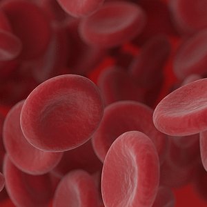 Red Blood Cells Animated