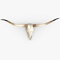 Skull with Horns