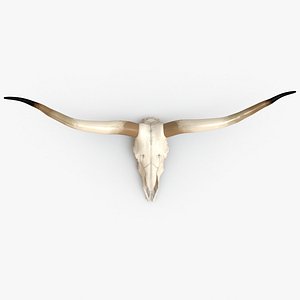 Skull with Horns