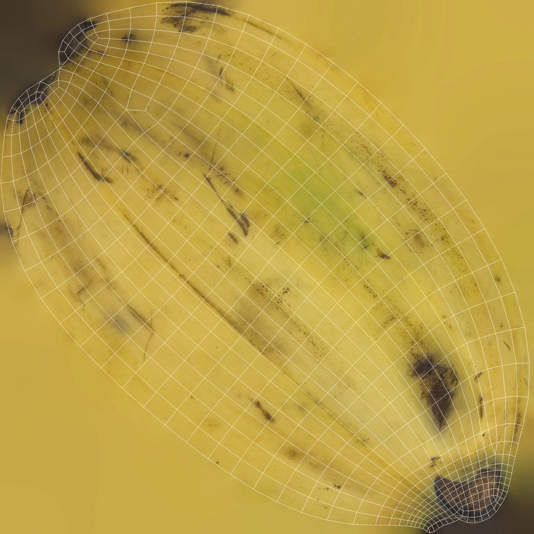 banana 2 3d max https://p.turbosquid.com/ts-thumb/7B/xntZfd/5xq48Iww/banana2_uv1/jpg/1428563275/1920x1080/fit_q87/693998038723203717c062f66808cc9fc33365ad/banana2_uv1.jpg