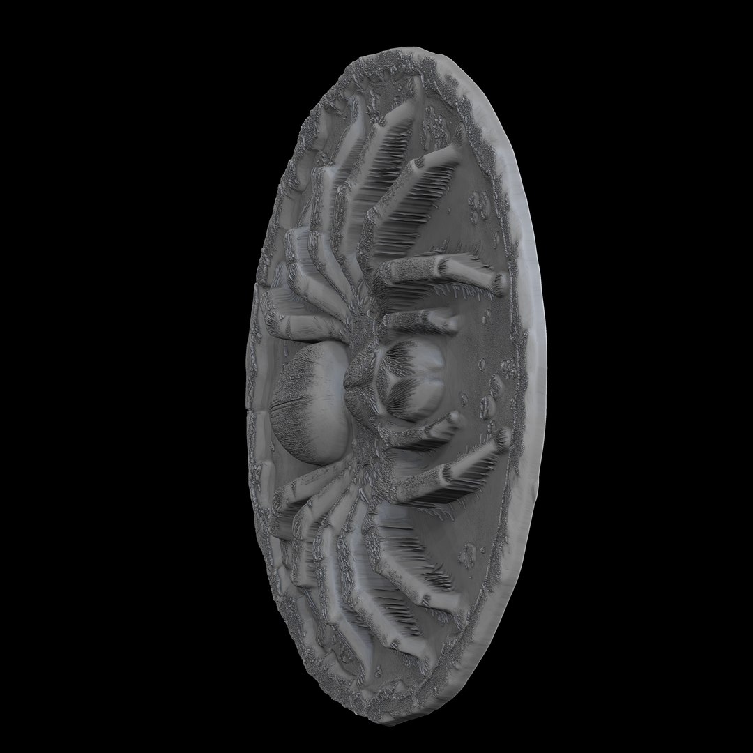 Tarantulas 3D Print Model 3D Model - TurboSquid 2288845