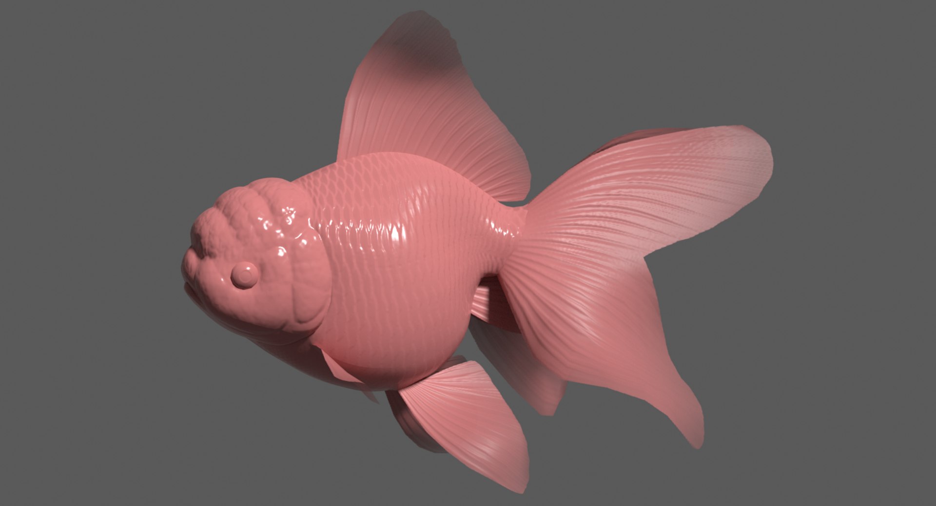 3d oranda goldfish https://p.turbosquid.com/ts-thumb/7C/4LS9xP/JVar3rnC/orandabump/png/1596356836/1920x1080/fit_q87/fc61f253de5e1ba10d104f7f53090590eb3ad351/orandabump.jpg