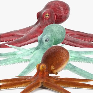 Octopuses Rigged Collection