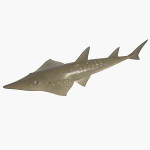 3d model shovel nose
