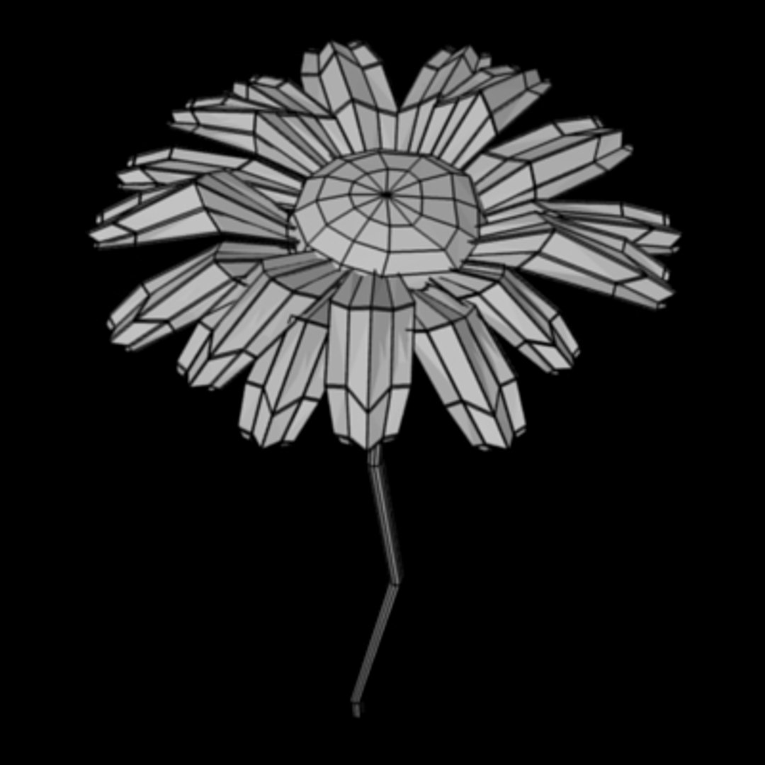 3d Flowers Daisy