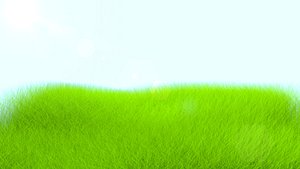 3D model grass