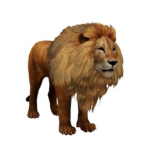Lowpoly Male Lion Rigged and Animated for VR AR Games