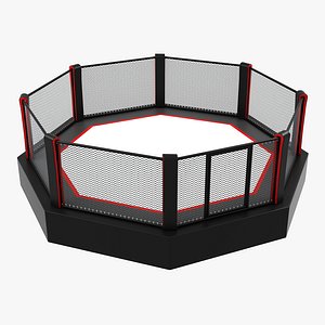 Octagon Boxing Ring