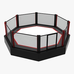 Octagon Boxing Ring