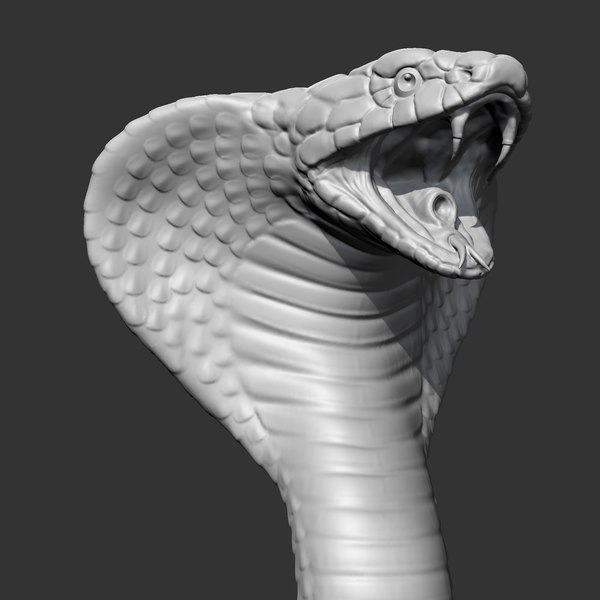 Cobra Snake | 3D Print Model