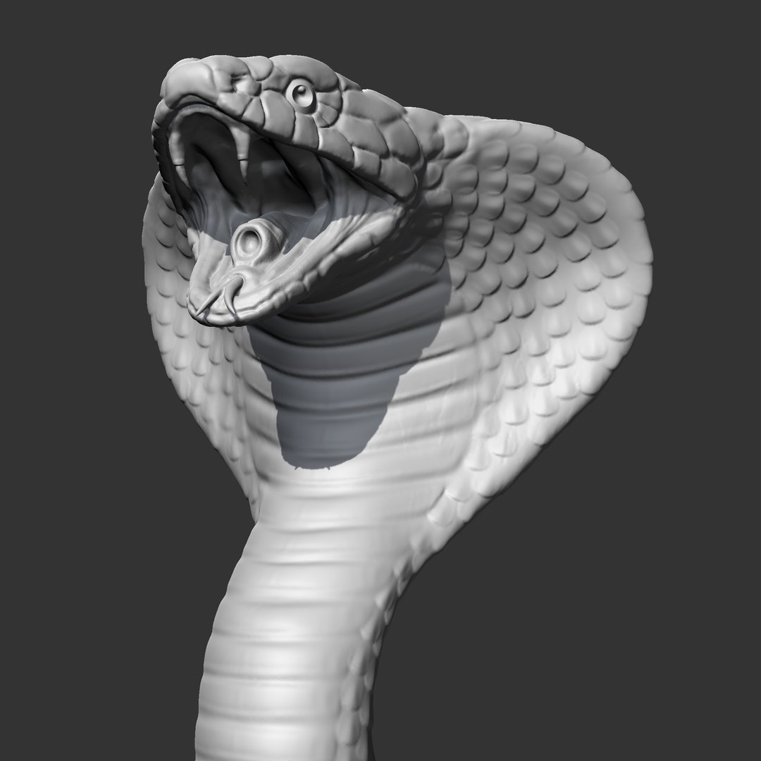 King Cobra Head AM09 Print 3D Model - TurboSquid 2065459