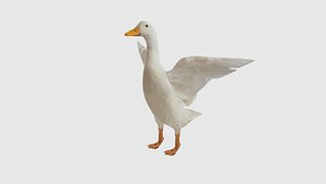 Low Poly Duck Rigged With Realistic Texture model