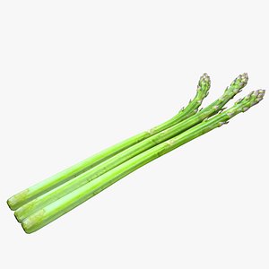 3D model asparagus