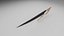 Ichigo Sword
