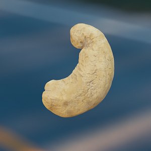 3D cashews octane model