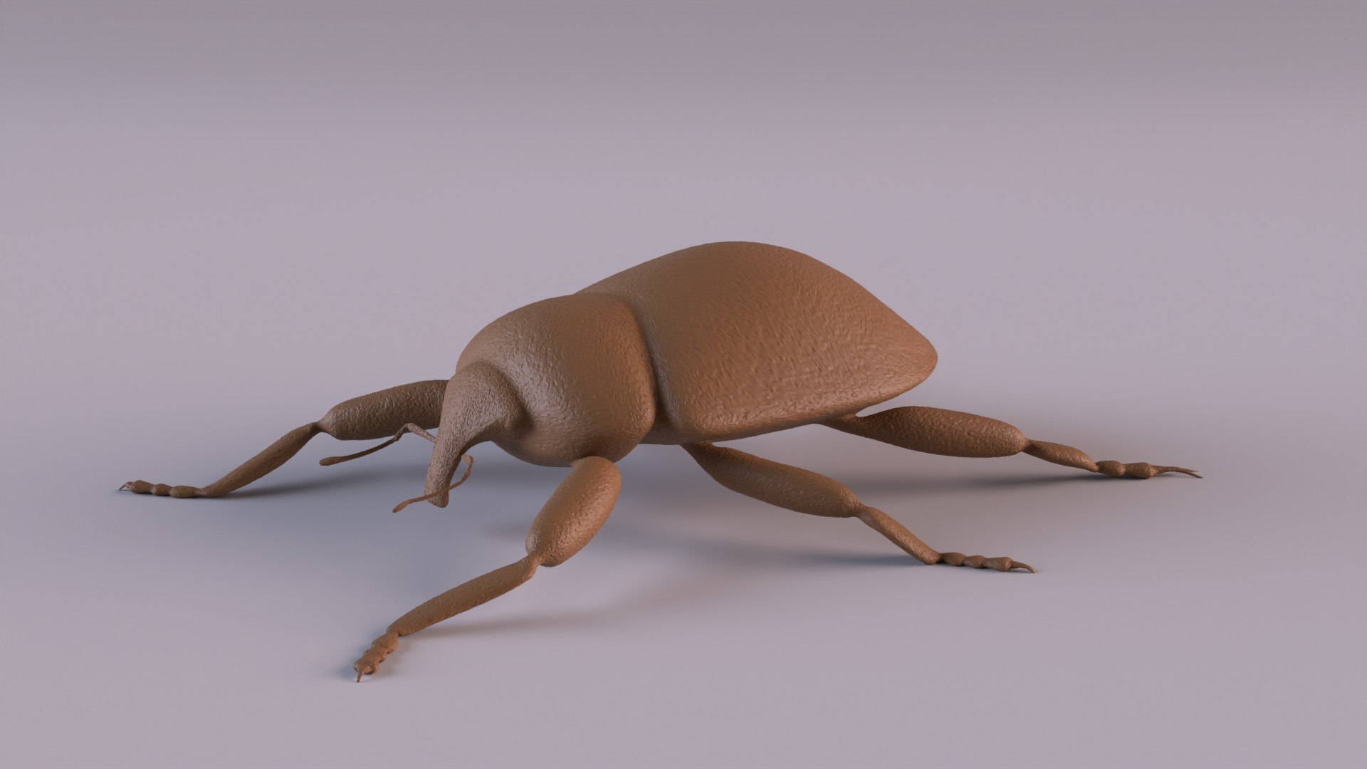 3D Weevil model https://p.turbosquid.com/ts-thumb/7D/LsBcPp/5V/weevil1080_0008/jpg/1748778261/1920x1080/fit_q87/f79f3708003143f6eb962e3ae87b55dbff59fc24/weevil1080_0008.jpg
