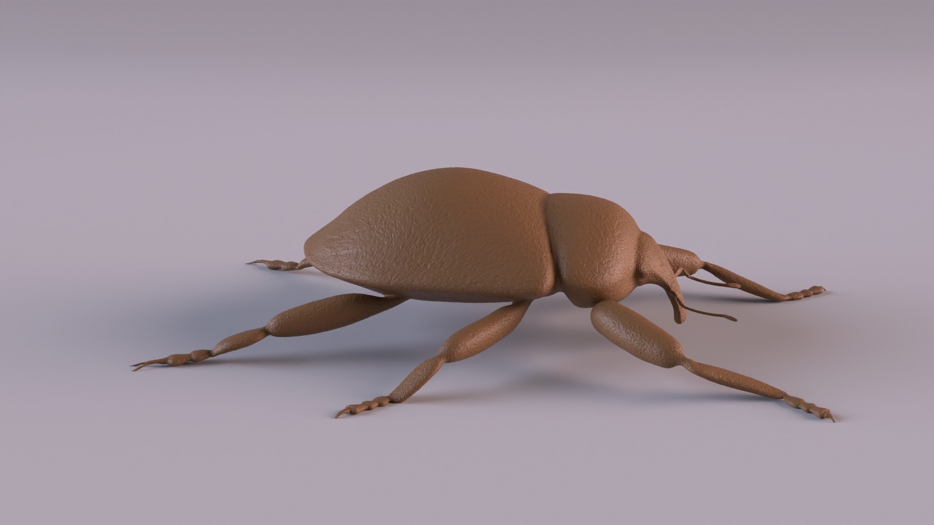 3D Weevil model https://p.turbosquid.com/ts-thumb/7D/LsBcPp/72/weevil1080_0002/jpg/1748778258/1920x1080/fit_q87/d893619b5039d2448895e2dde66e533784f3b3bd/weevil1080_0002.jpg