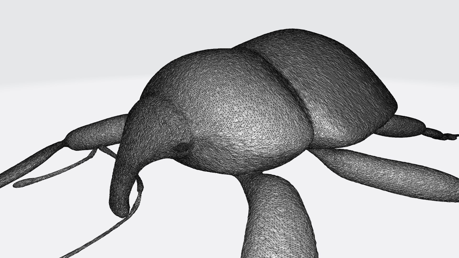 3D Weevil model https://p.turbosquid.com/ts-thumb/7D/LsBcPp/9I/weevil_w2/jpg/1748778259/1920x1080/fit_q87/40f20219f324d86c3a0c271d79b60cc23b73edae/weevil_w2.jpg