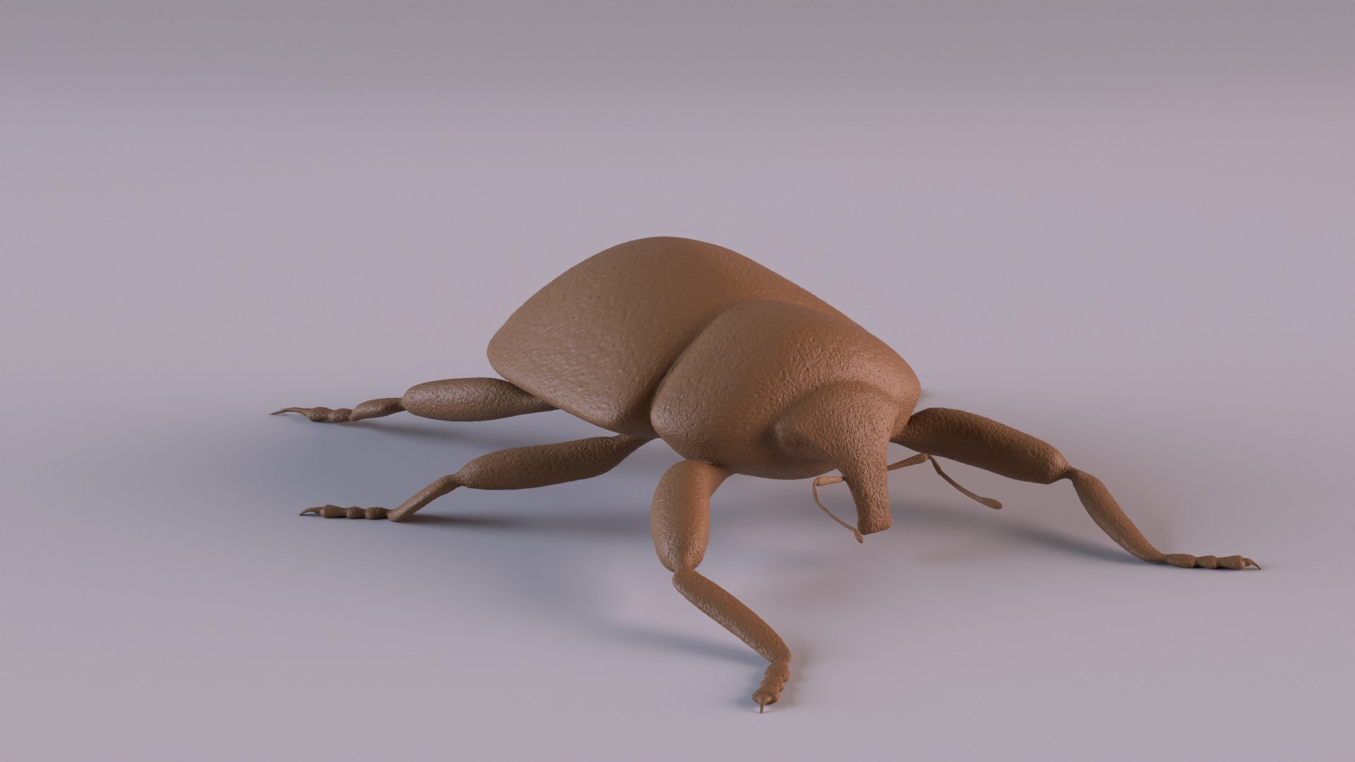 3D Weevil model https://p.turbosquid.com/ts-thumb/7D/LsBcPp/G4/weevil1080_0011/jpg/1748778262/1920x1080/fit_q87/8eb24296afb4717f767934223bdf11b7ce304d1e/weevil1080_0011.jpg