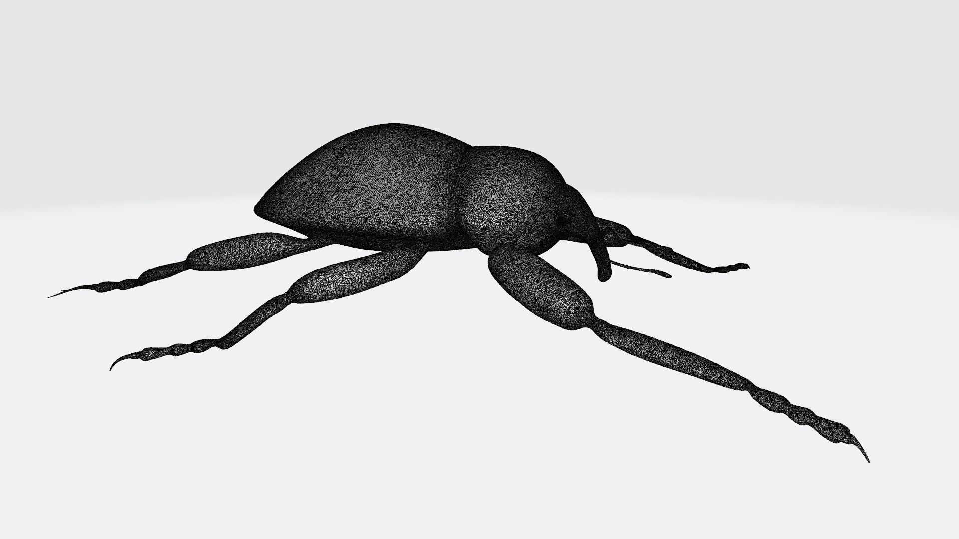 Insects printable 3D model https://p.turbosquid.com/ts-thumb/7D/LsBcPp/Ht/weevil_w1/jpg/1789582039/1920x1080/fit_q87/ef9b4b9ea632f3710dd6aa5d21772c7d74f2fa41/weevil_w1.jpg