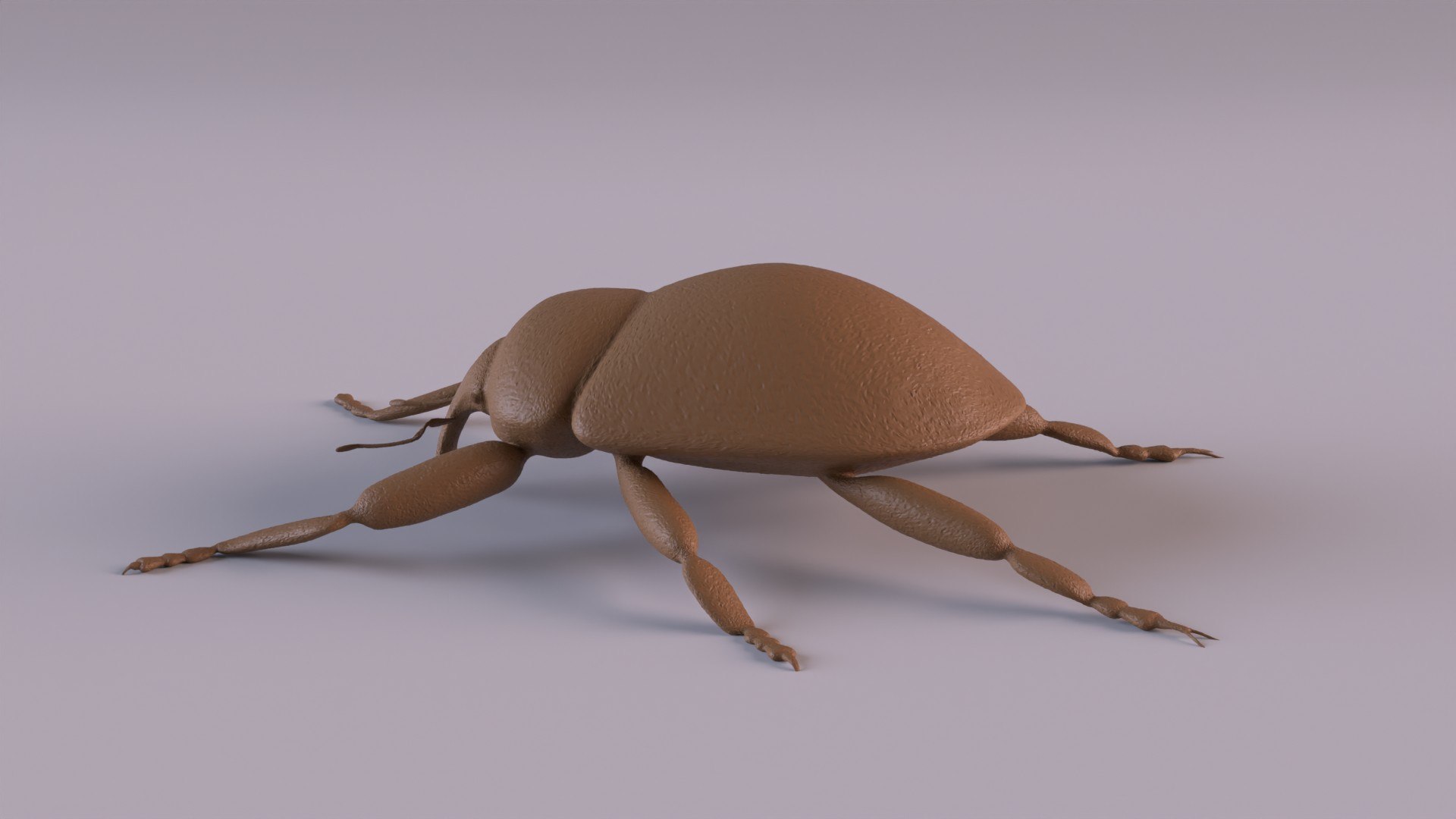 3D Weevil model https://p.turbosquid.com/ts-thumb/7D/LsBcPp/MG/weevil1080_0007/jpg/1748778260/1920x1080/fit_q87/cce3fcf4e76dc5093ca6cefcc68bcf5bf580a380/weevil1080_0007.jpg