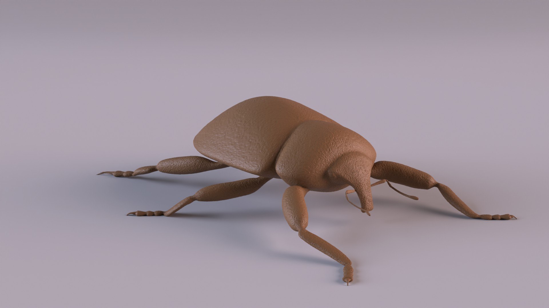 3D Weevil model https://p.turbosquid.com/ts-thumb/7D/LsBcPp/OU/weevil1080_0012/jpg/1748778263/1920x1080/fit_q87/9c86d521594aadca3102018fbd5cb7bf54d0e8e6/weevil1080_0012.jpg