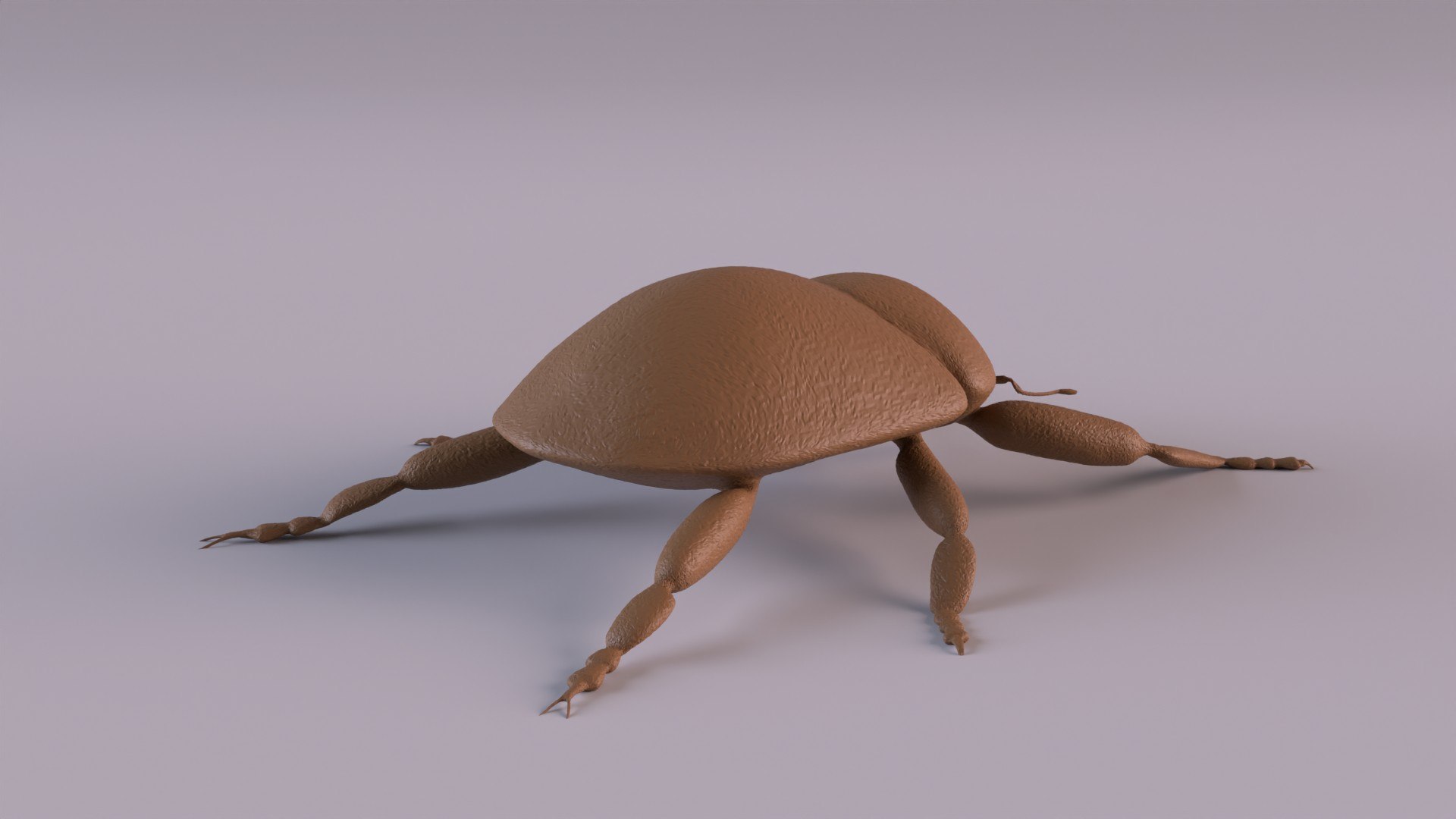 3D Weevil model https://p.turbosquid.com/ts-thumb/7D/LsBcPp/RV/weevil1080_0004/jpg/1748778259/1920x1080/fit_q87/5155862e100a88a83603ccdaff1a6273335aca27/weevil1080_0004.jpg