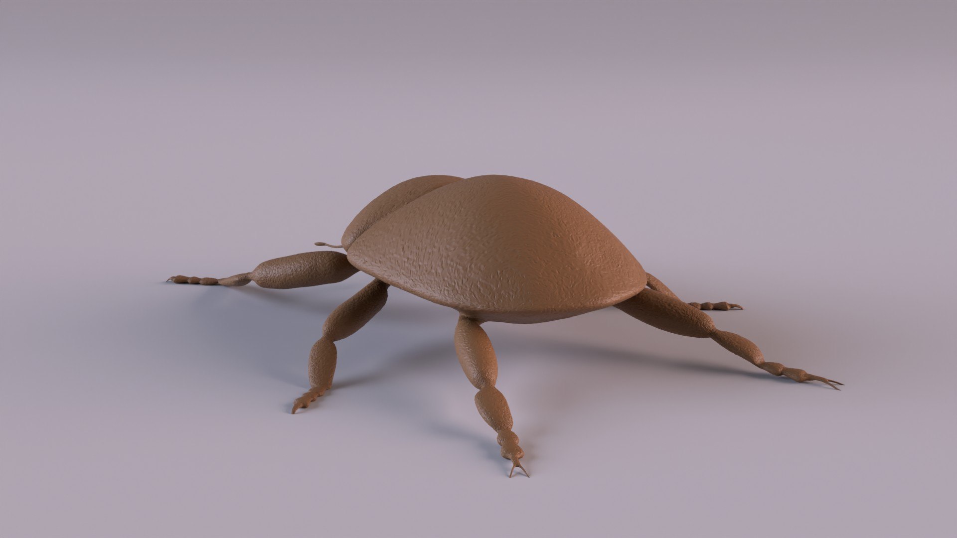 3D Weevil model https://p.turbosquid.com/ts-thumb/7D/LsBcPp/Tt/weevil1080_0006/jpg/1748778260/1920x1080/fit_q87/97e4cfab55cf8c16bc465dc213b43629e3da96f5/weevil1080_0006.jpg