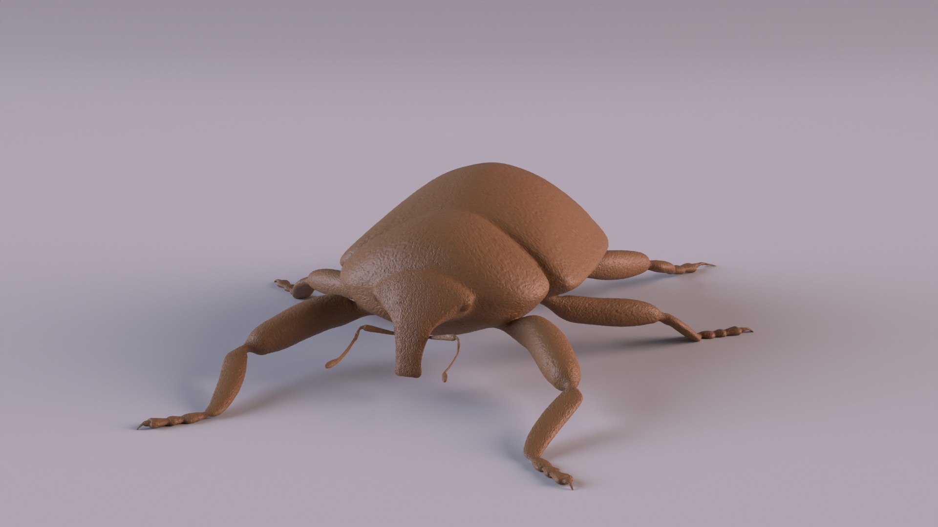 3D Weevil model https://p.turbosquid.com/ts-thumb/7D/LsBcPp/Wf/weevil1080_0009/jpg/1748778261/1920x1080/fit_q87/6ff24af44cccae114bf4d861e40ca8398d596cc8/weevil1080_0009.jpg