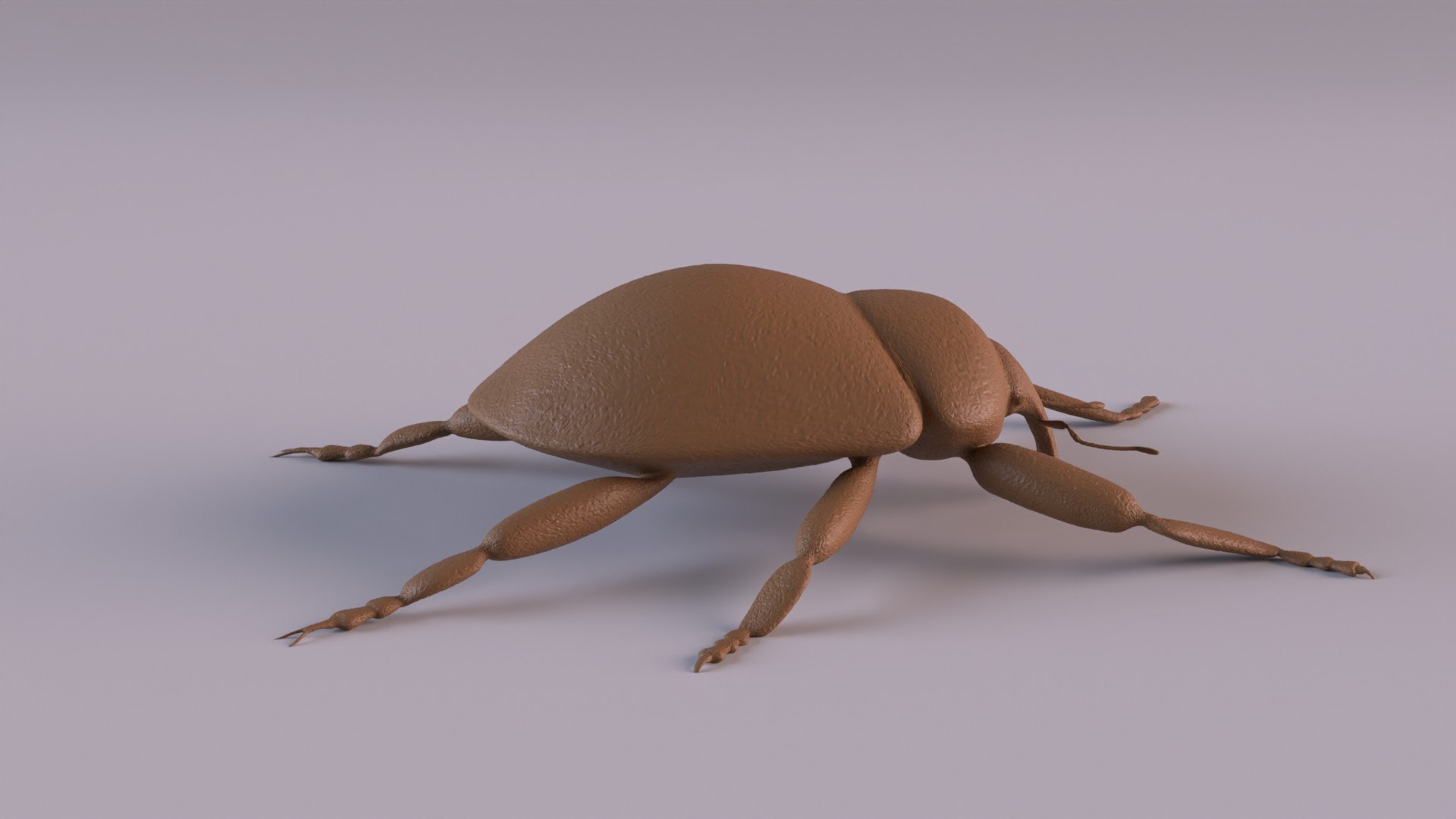 3D Weevil model https://p.turbosquid.com/ts-thumb/7D/LsBcPp/dR/weevil1080_0003/jpg/1748778259/1920x1080/fit_q87/716a871f42daee524819dff2a44a50d5b75133ed/weevil1080_0003.jpg