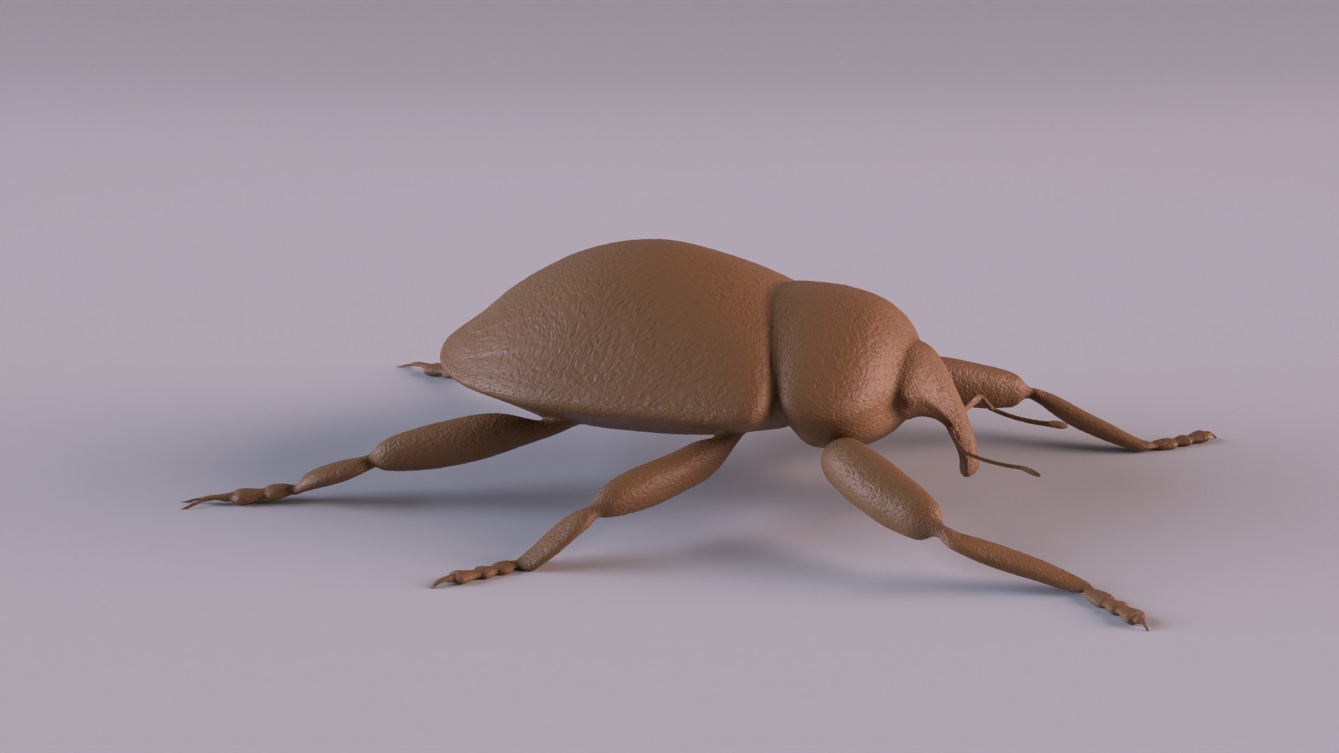 3D Weevil model https://p.turbosquid.com/ts-thumb/7D/LsBcPp/gR/weevil1080_0001/jpg/1748778258/1920x1080/fit_q87/afd3fa69c7596adc2eb1b80c51f09dd04314a5c2/weevil1080_0001.jpg