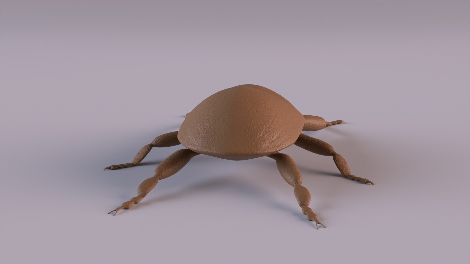3D Weevil model https://p.turbosquid.com/ts-thumb/7D/LsBcPp/ym/weevil1080_0005/jpg/1748778259/1920x1080/fit_q87/cb40157dac7ca53b1253f4adae6df35e7a6afff2/weevil1080_0005.jpg