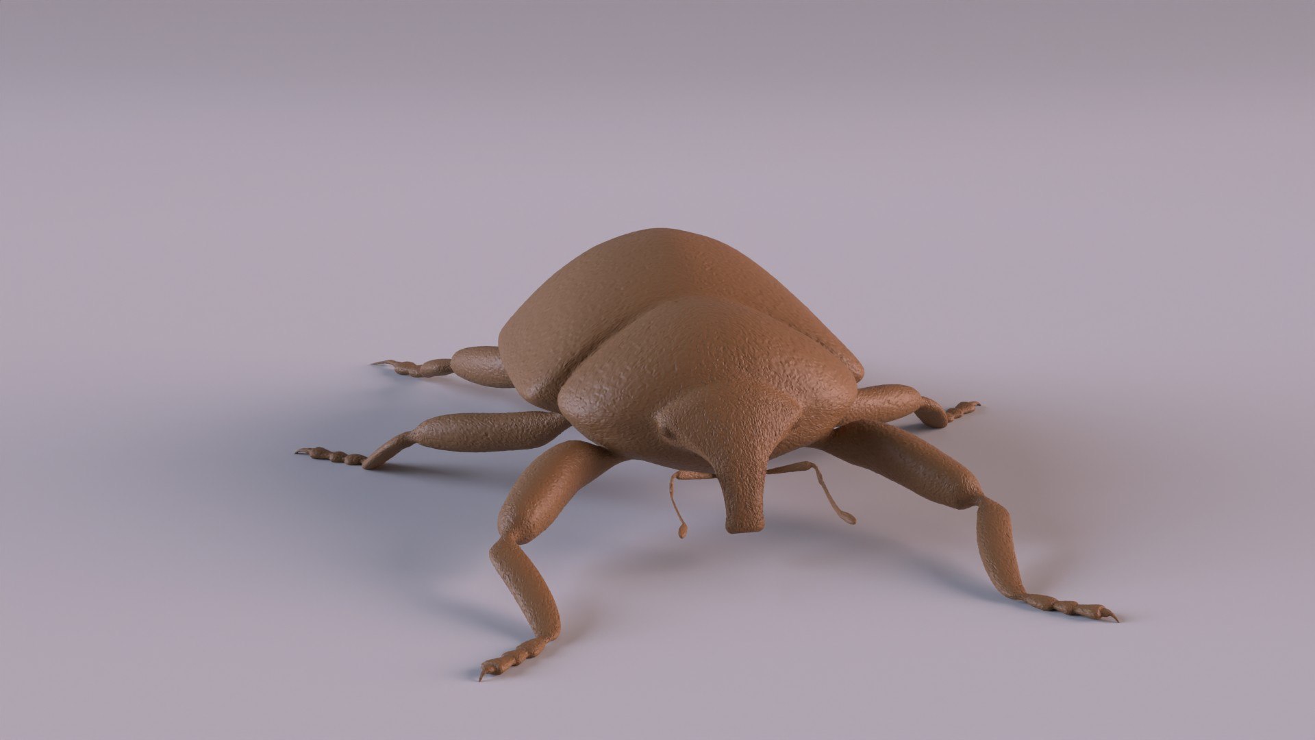3D Weevil model https://p.turbosquid.com/ts-thumb/7D/LsBcPp/zA/weevil1080_0010/jpg/1748778262/1920x1080/fit_q87/a59f1b6bd60adc5b512707821579c91516384fbf/weevil1080_0010.jpg