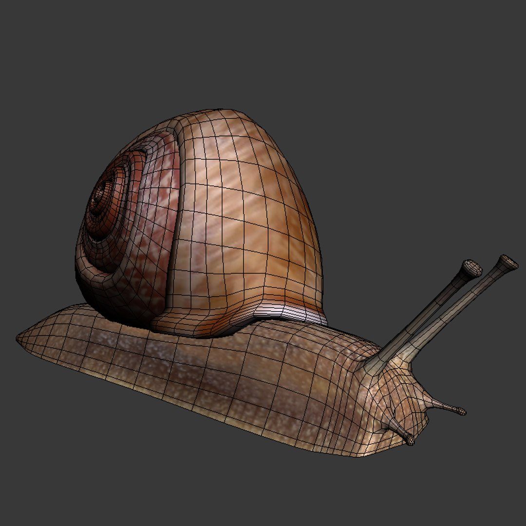 snail 3ds https://p.turbosquid.com/ts-thumb/7D/RtqTed/QngVFD3w/sn5/jpg/1434738510/1920x1080/fit_q87/6325a56cd78571313c68d7be299bdc86c9fe703c/sn5.jpg