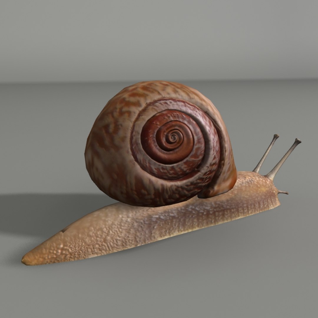 snail 3ds https://p.turbosquid.com/ts-thumb/7D/RtqTed/hcZsSYxW/sn4/jpg/1434738510/1920x1080/fit_q87/2f61eb92a5bb98b63460026b1c1ae777b7ab9959/sn4.jpg