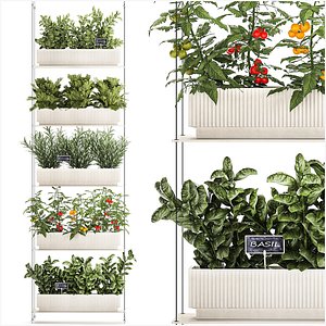 Vertical gardening kitchen garden vegetables tomatoes rosemary basil 1411 3D model
