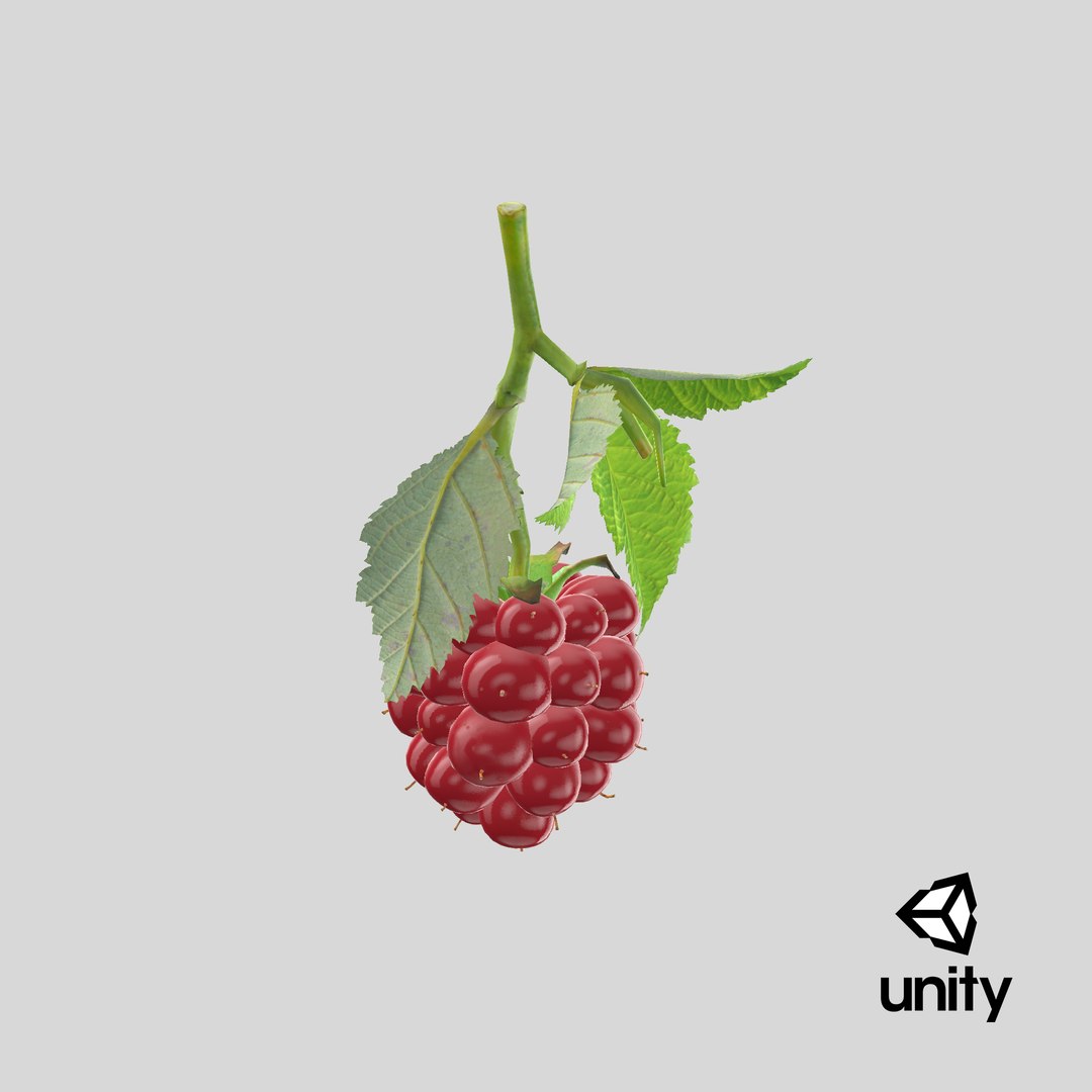 3D Ripe Berry Blackberry Leaves Model - TurboSquid 1380106